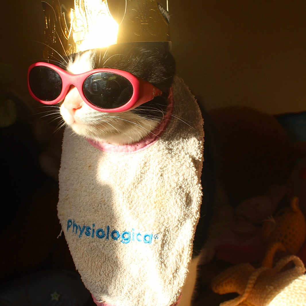 Minette