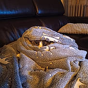 Précieuse participe au concours pour gagner de l'argent avec cette photo : bedding, blanket, comfort, couch, electric_blue, flooring, fur, hardwood, house, light, linens, metal, pattern, rock, room, shawl, sleeve, studio_couch, textile, wood