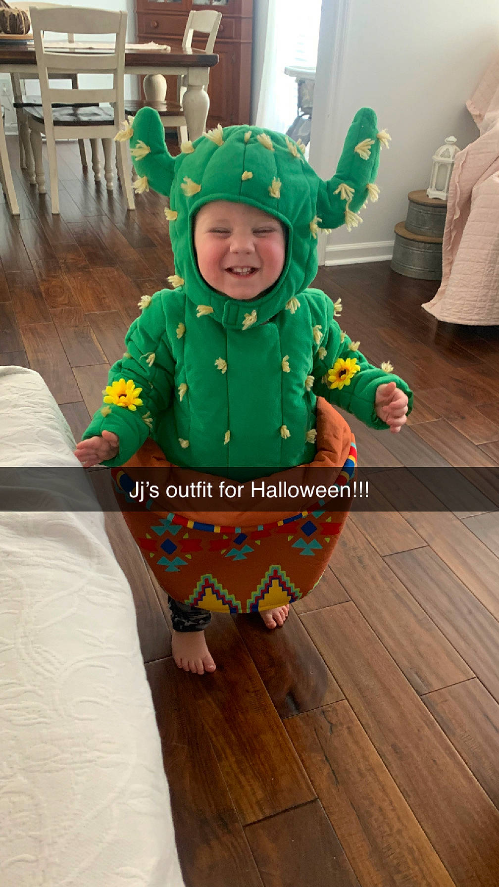 Jason joined the competition — help win amazing prizes! baby, baby_toddler_clothing, child, event, floor, flooring, fun, happy, hardwood, headwear, holiday, joy, laminate_flooring, pattern, person, plank, sleeve, smile, toddler, varnish