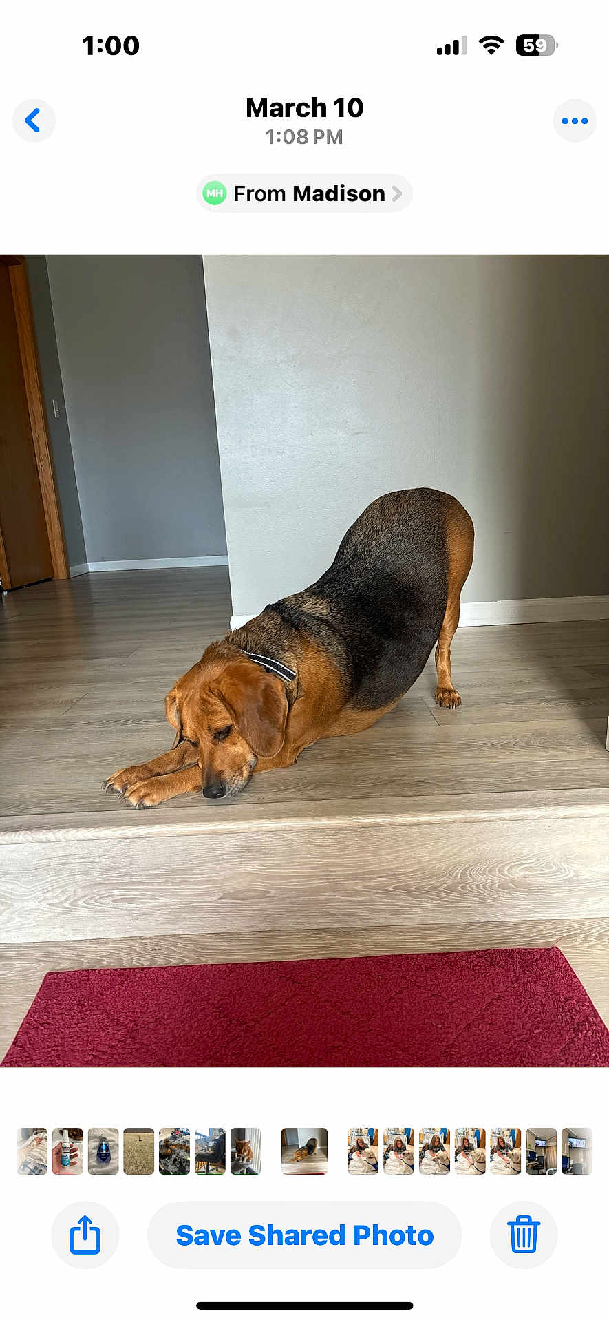 Lucy
