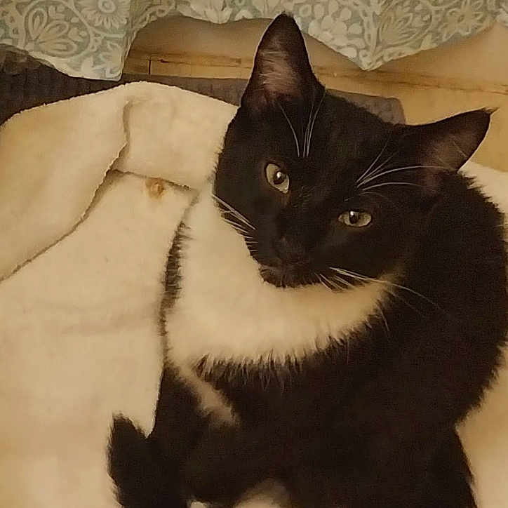 Max