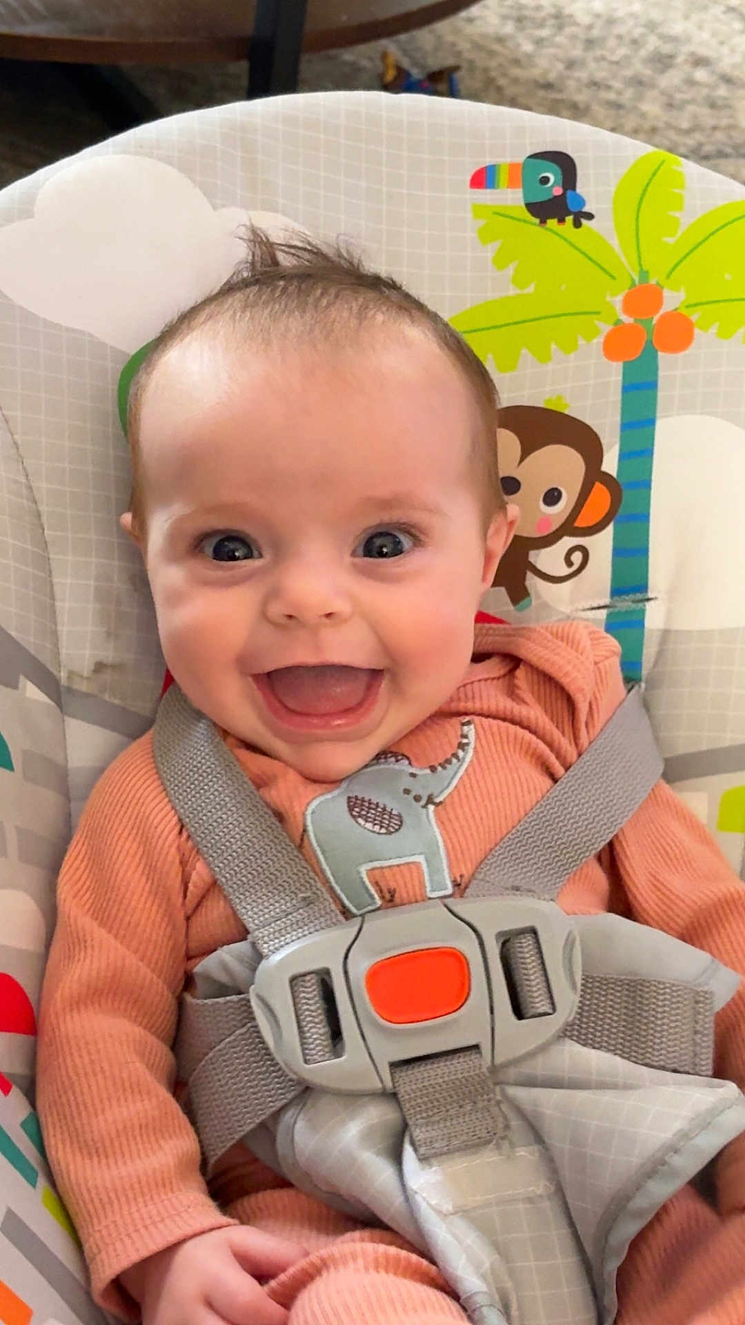 Lainey is registered to the contest to win money with this photo: baby, baby_seat, blue_eyes, cheerful, child, child_seat, closeup, cute, elephant_patch, face, happy, indoors, infant, monkey, orange_clothing, playful, safety_harness, seatbelt, smiling, toy_pattern