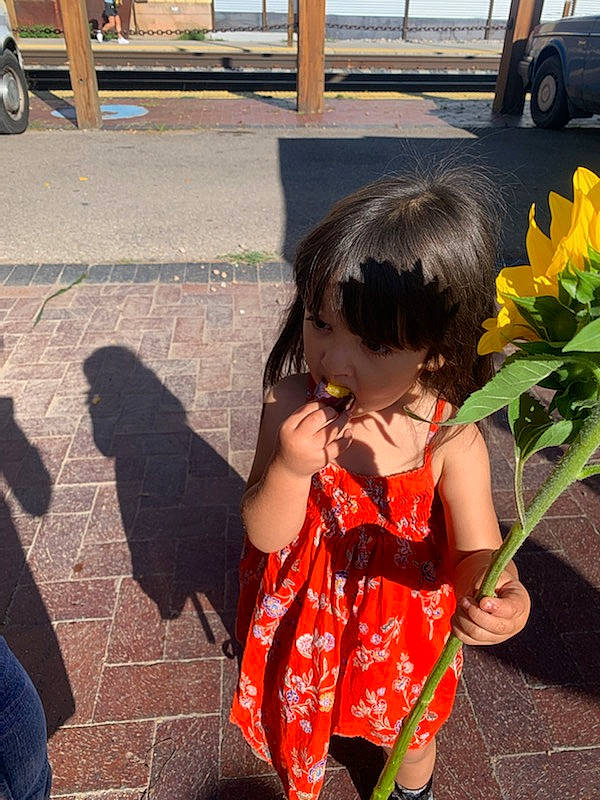 Aitana joined the competition — help win amazing prizes! asphalt, child, cool, flower, fun, grass, hair, hairstyle, happy, human_leg, leaf, leisure, pattern, person, petal, plant, sitting, thigh, tire, toddler