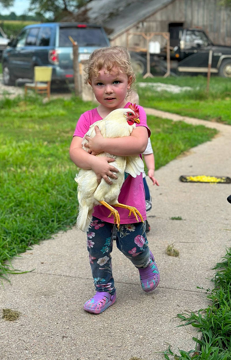 Peyton is registered to the contest to win money with this photo: asphalt, baby, car, child, event, fun, gesture, grass, happy, leisure, magenta, people_in_nature, person, plant, recreation, road, smile, sneakers, tire, toddler