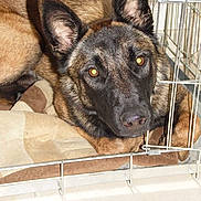 HEDEN a rejoint le concours — aidez-le/la à gagner de superbes lots !