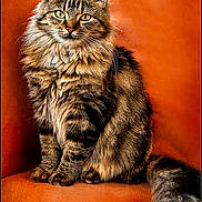 Hermione a rejoint le concours — aidez-le/la à gagner de superbes lots !