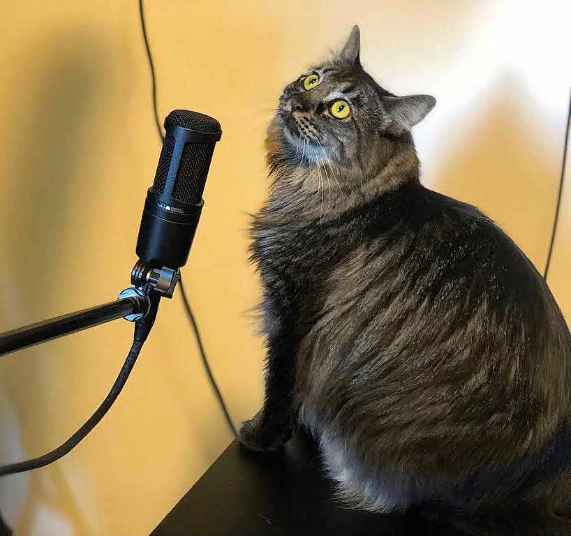Esmeralda