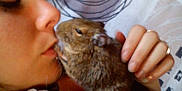 Scrat participe au concours pour gagner de l'argent avec cette photo :