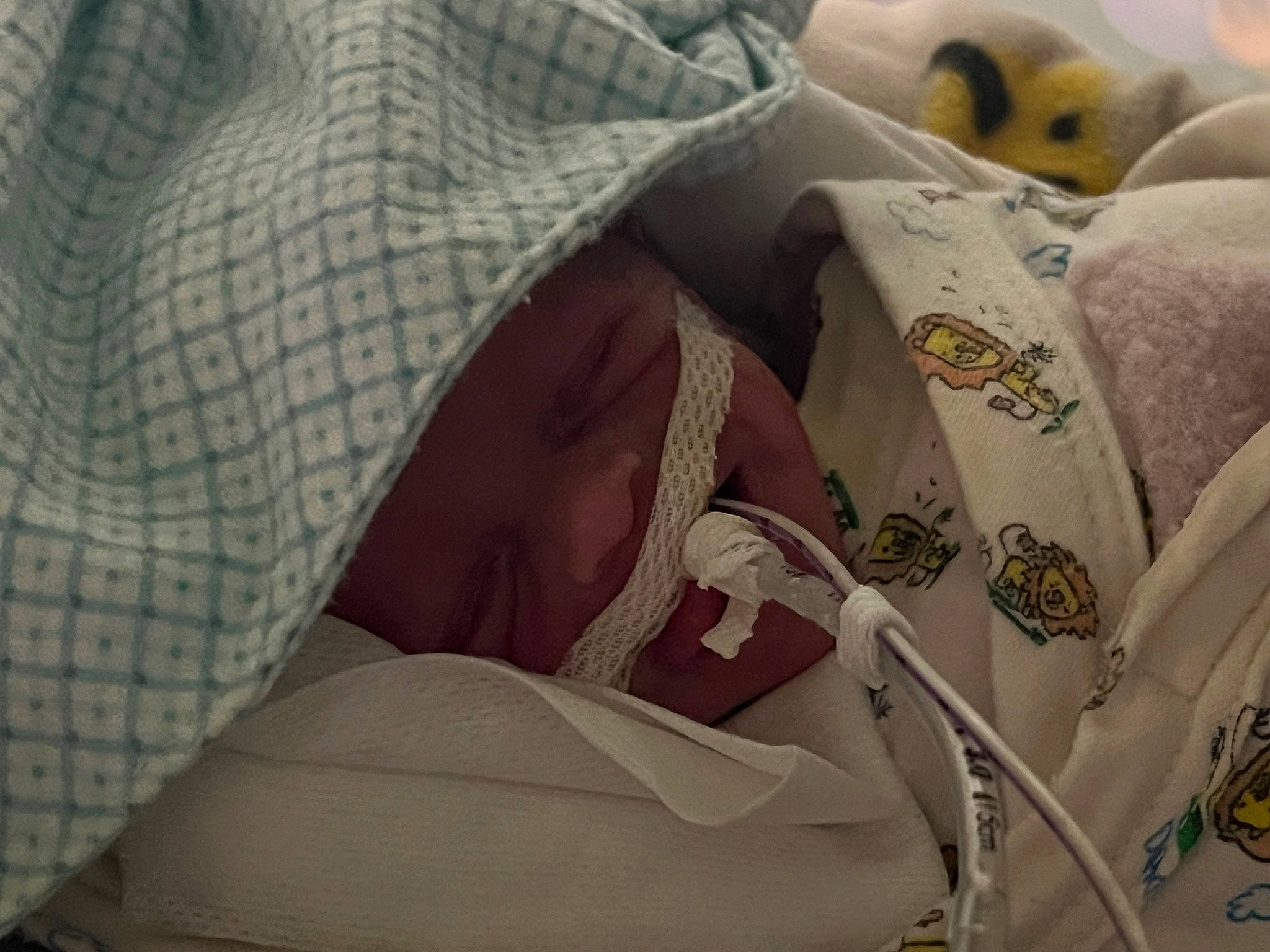 Malakai joined the competition — help win amazing prizes! bed_sheet, bedding, blanket, carmine, comfort, dress_shirt, hat, linens, pattern, peach, person, room, sleeve, textile