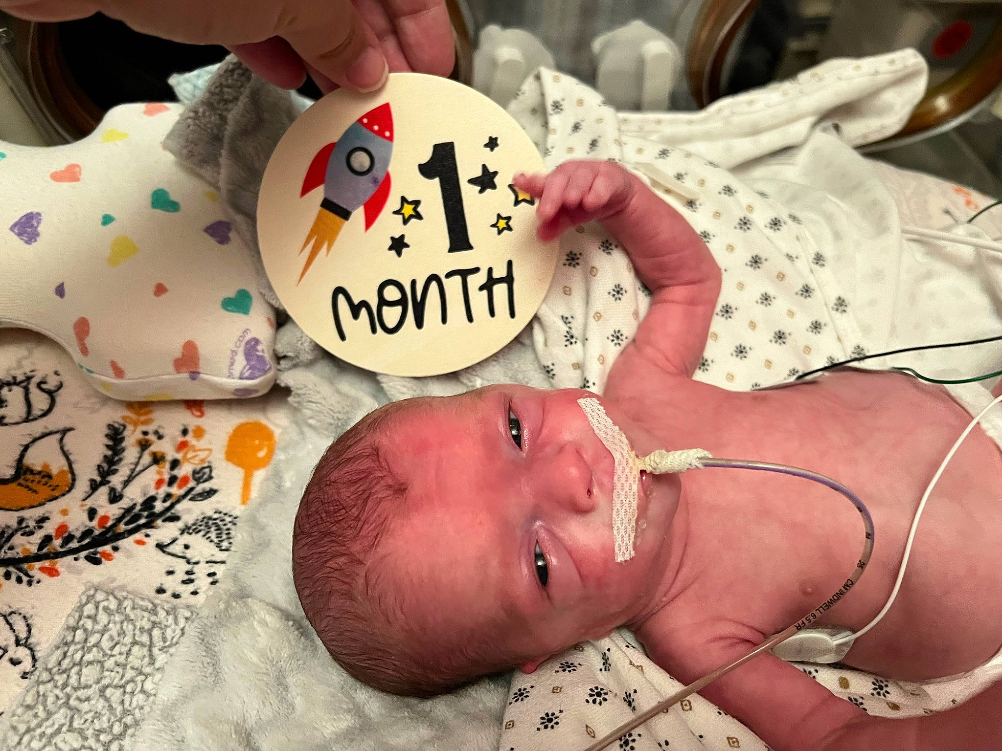 Malakai is registered to the contest to win money with this photo: abdomen, art, baby, barechested, carmine, cheek, chest, child, event, finger, happy, mammal, mouth, navel, person, pink, sweetness, textile, toddler, toy