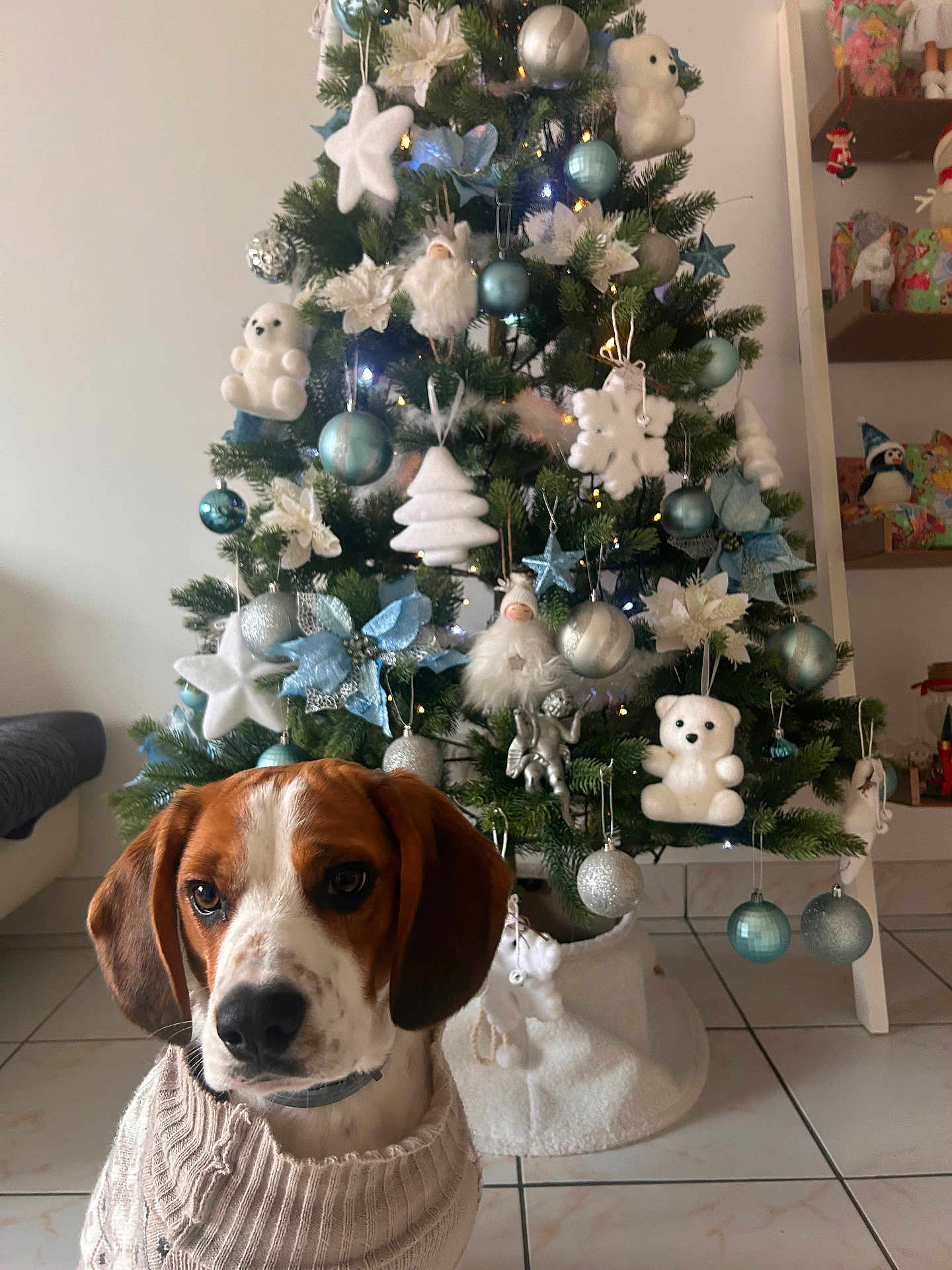 Ulio a rejoint le concours — aidez-le/la à gagner de superbes lots ! dog, christmas_tree, ornaments, plush_toys, sweater, indoor, holiday_decor, festive, white, blue, tiled_floor, living_room, cute, pet, decorations, seasonal, celebration, tree_skirt, holiday, cozy