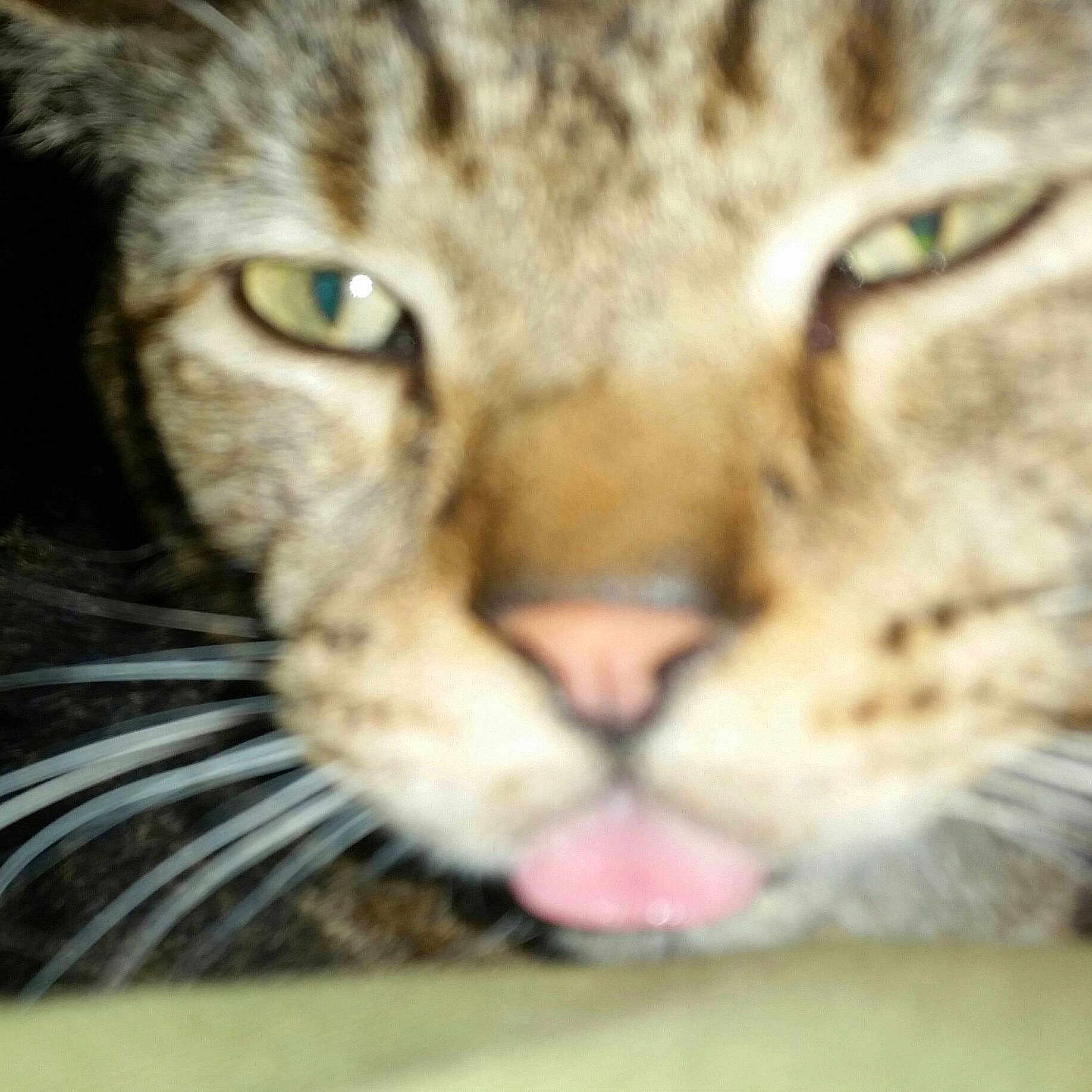 Porter joined the competition — help win amazing prizes!