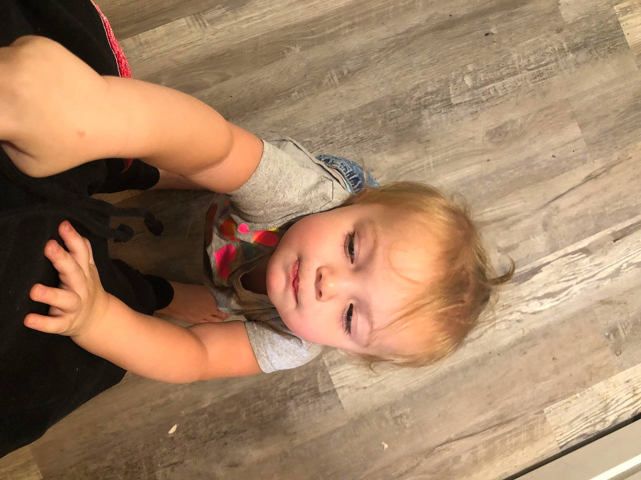 Jayla joined the competition — help win amazing prizes! black_hair, cheek, child, elbow, eyelash, flooring, gesture, happy, hardwood, human_body, mouth, nose, person, plant, sitting, skin, toddler, tree, trunk, wood