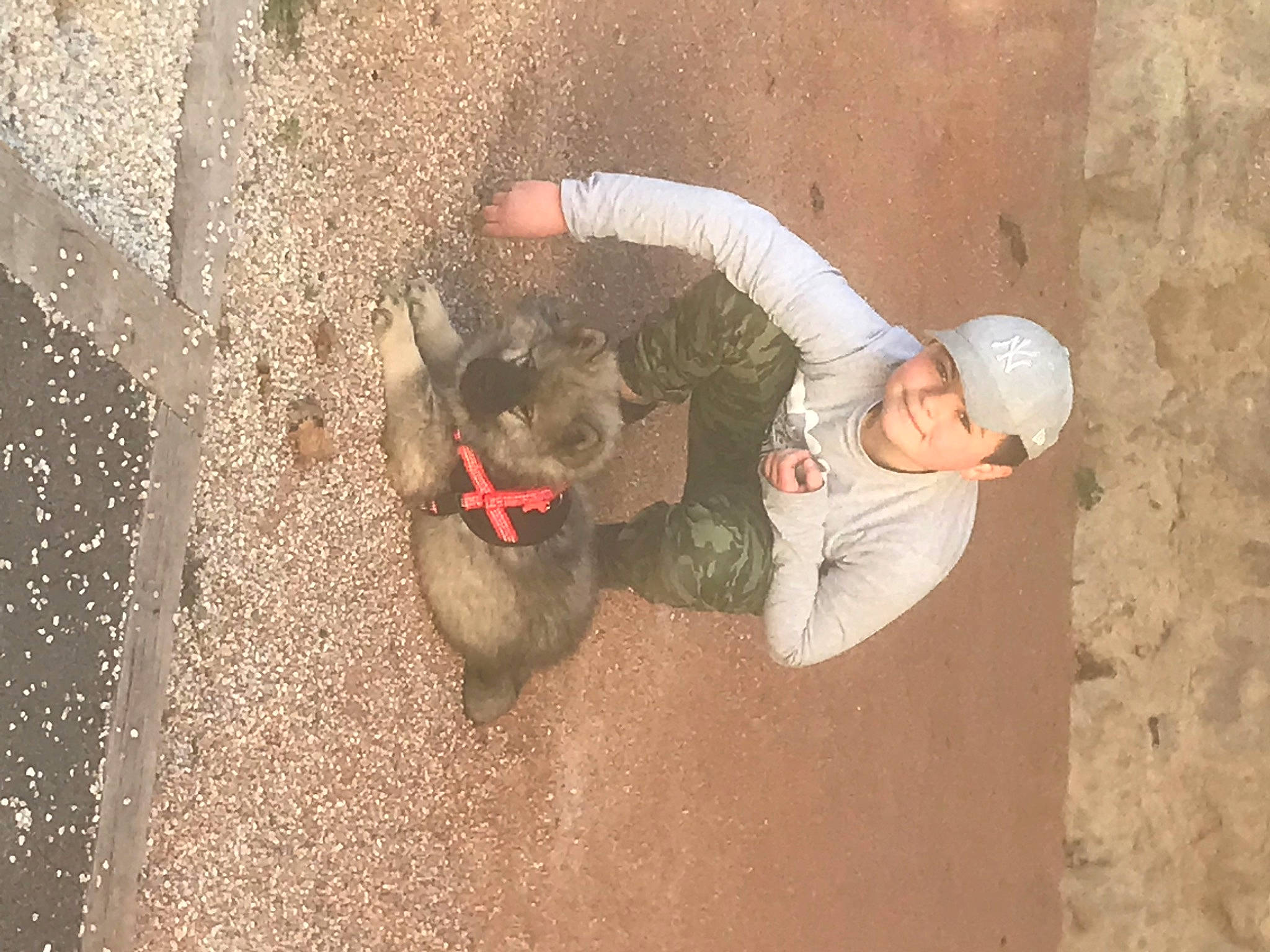 Elio a rejoint le concours — aidez-le/la à gagner de superbes lots ! adventure, concrete, dog_breed, fun, fur, hat, headwear, helmet, joy, landscape, mammal, person, recreation, soil, sporting_group, tail, terrestrial_animal, working_animal