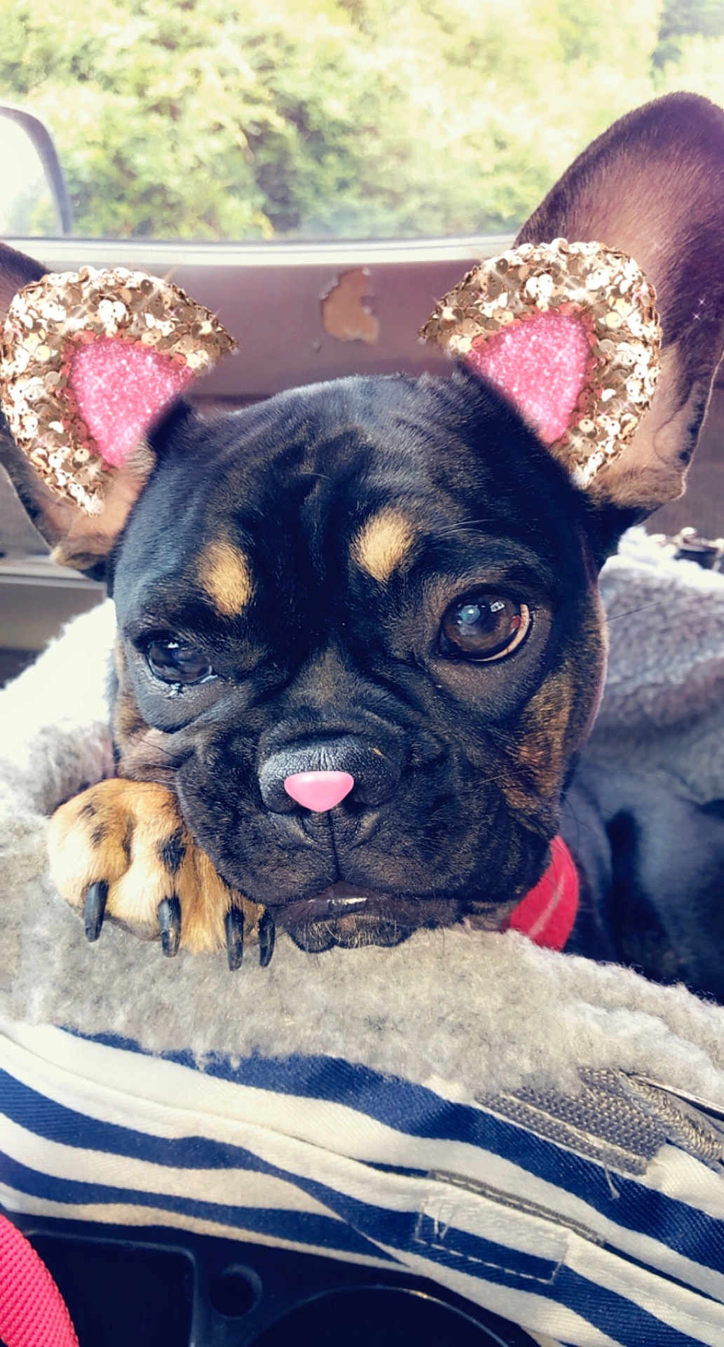 Coco