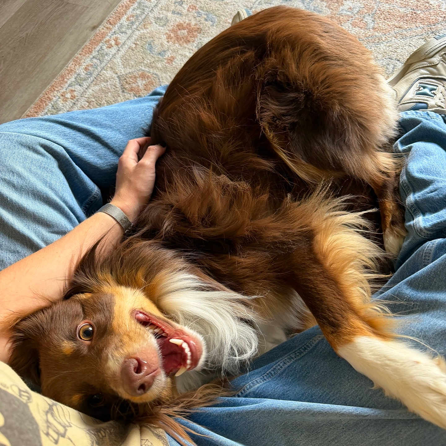 Suki