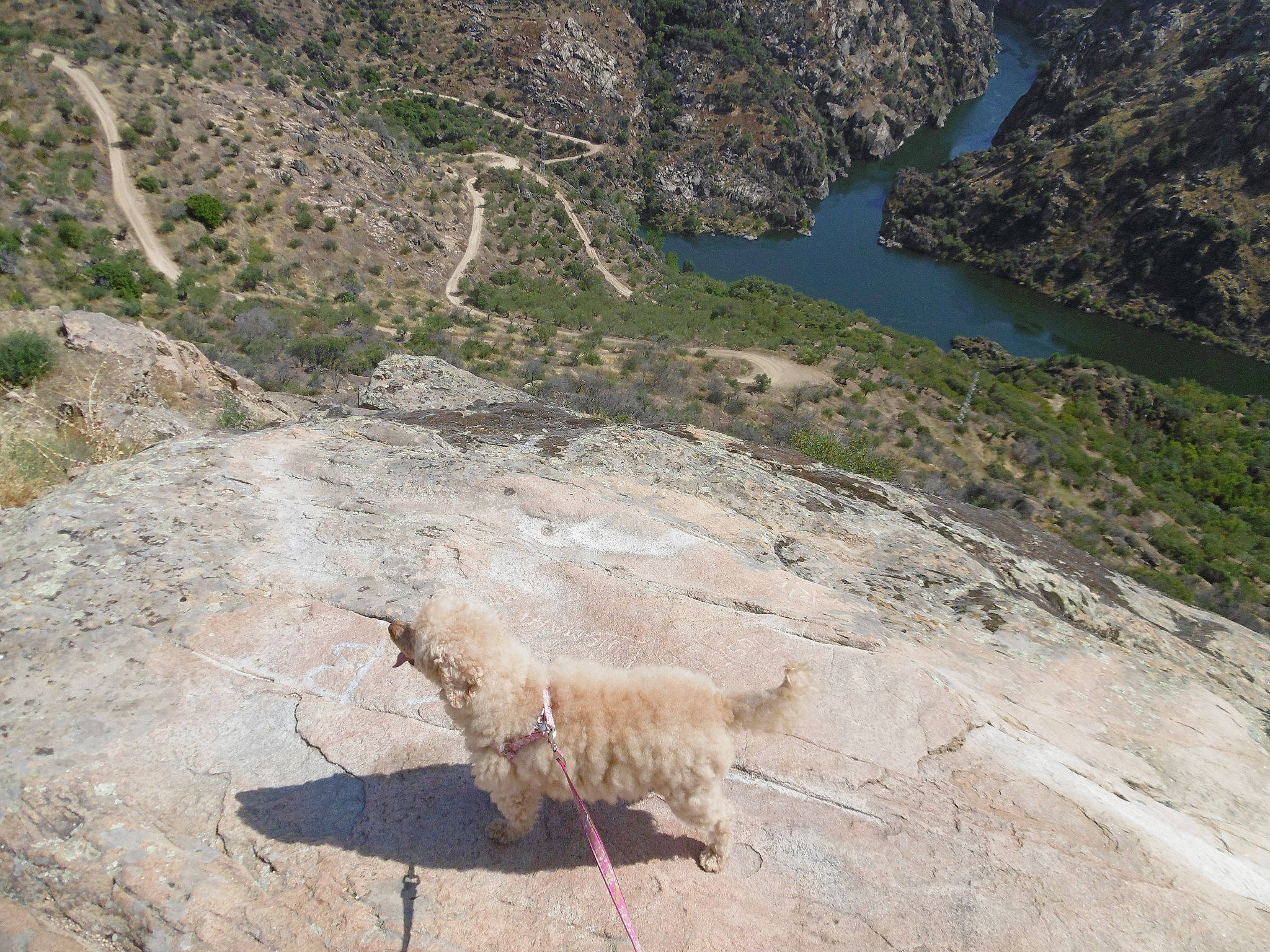 Lunã participe au concours pour gagner de l'argent avec cette photo : bank, bedrock, cliff, dike, fault, formation, geological_phenomenon, geology, outcrop, rock, terrain, water
