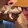 cat, kitten, pet, sleeping, red_collar, hand, person, glasses, cap, brown_cushion, indoor, floor, wood_floor, casual_clothing, beard, relaxing, comfort, home, furniture, close_up