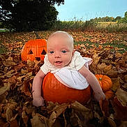 Oaklynn joined the competition — help win amazing prizes! autumn_leaves, baby, child, cute, daytime, fall, field, grass, holiday, jack_o_lantern, leaf_litter, nature, orange, outdoor, person, pumpkin, seasonal, sky, smiling, tree