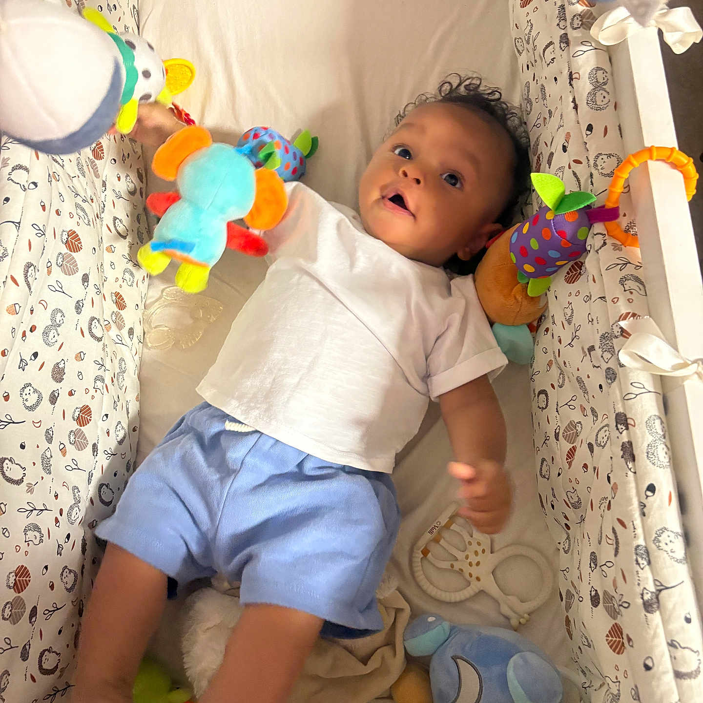 Lionel Alexandre participe au concours pour gagner de l'argent avec cette photo : baby, blue_shorts, child, colorful, comfort, crib, curious, cute, fabric, happy, indoor, infant, lying_down, person, playful, plush_toy, smiling, soft, toys, white_shirt