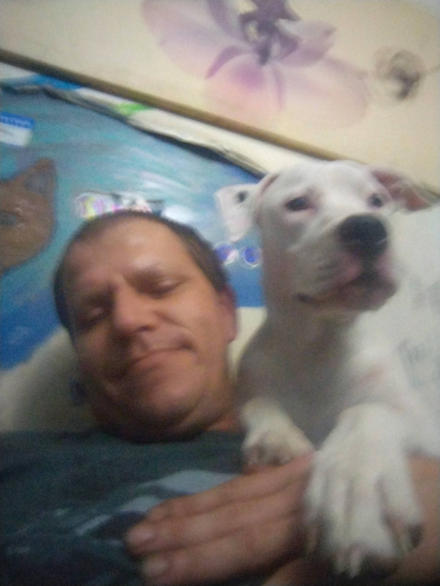 Cloey is registered to the contest to win money with this photo: automotive_window_part, carnivore, comfort, companion_dog, dog, dog_breed, dogo_argentino, eye, fawn, fun, gesture, guard_dog, happy, hat, nose, puppy_love, selfie, sky, smile, t_shirt