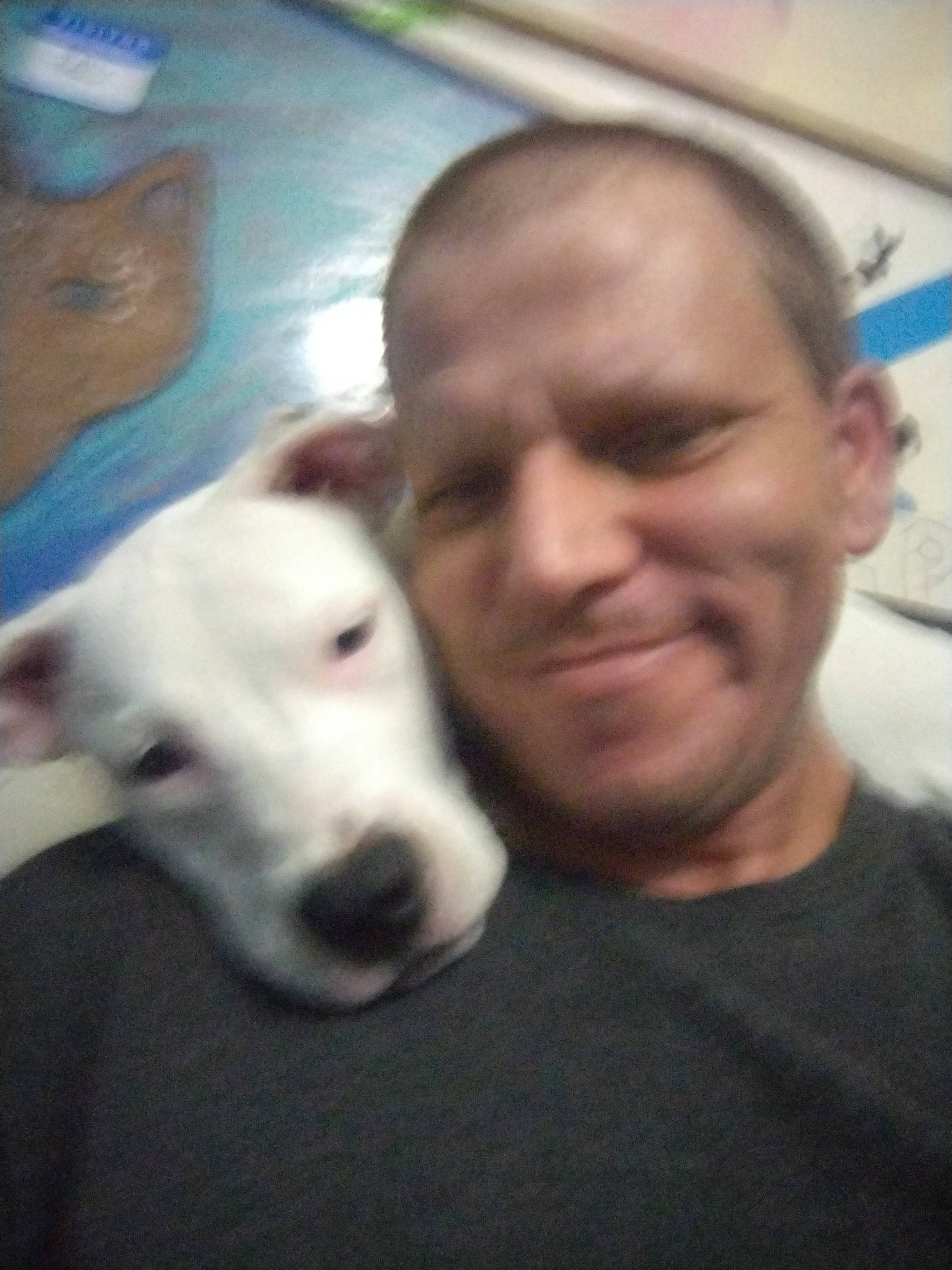 Cloey is registered to the contest to win money with this photo: canidae, carnivore, companion_dog, dog, dog_breed, ear, fawn, fun, giant_dog_breed, guard_dog, happy, jaw, nose, selfie, smile, snout, sporting_group, t_shirt, whiskers, working_animal