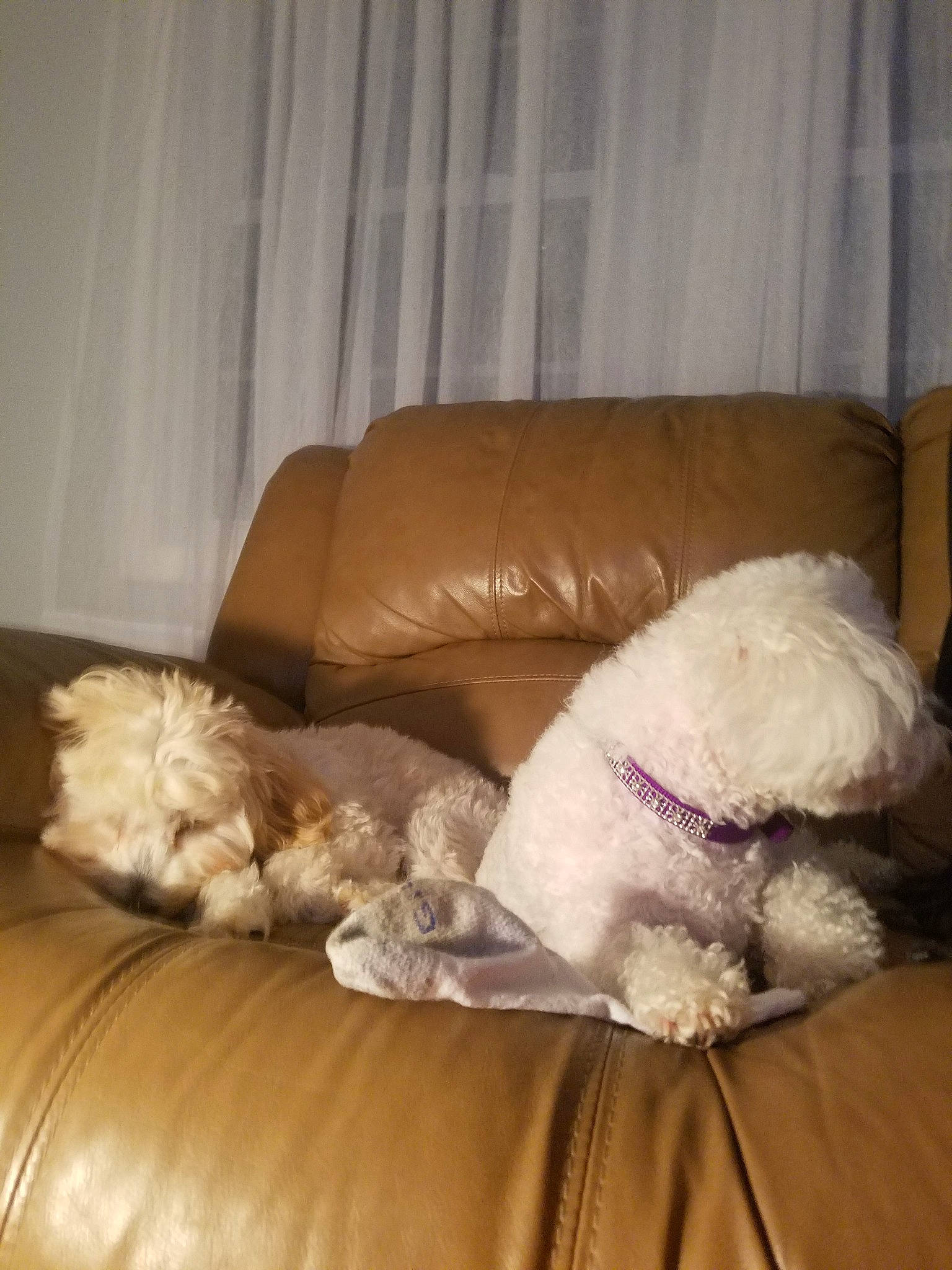 Tinker Bell And Maggie May