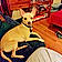 Phoebe
