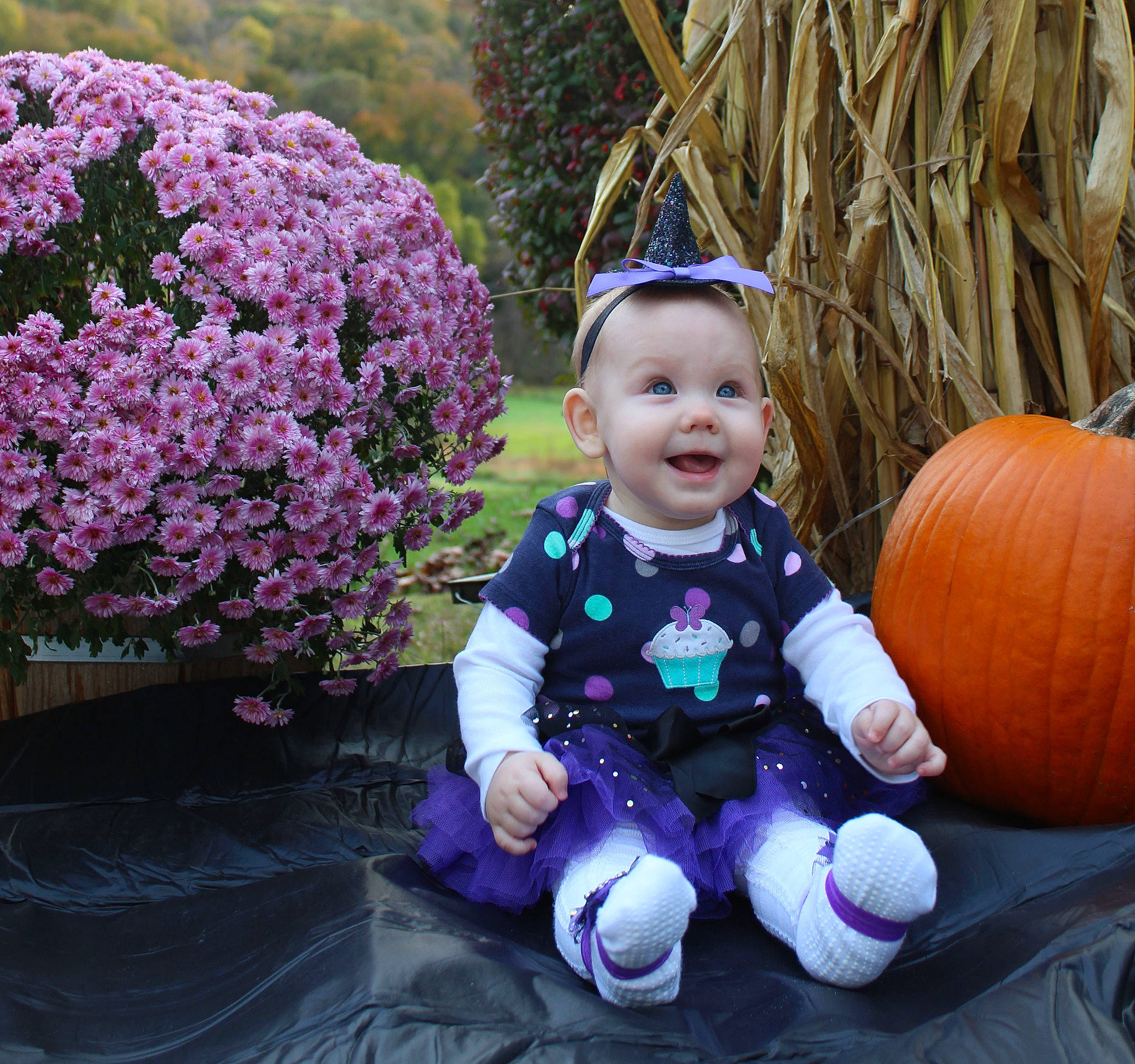 Cassandra joined the competition — help win amazing prizes! baby, baby_toddler_clothing, calabaza, child, flower, lavender, lilac, person, pink, plant, pumpkin, purple, toddler, violet
