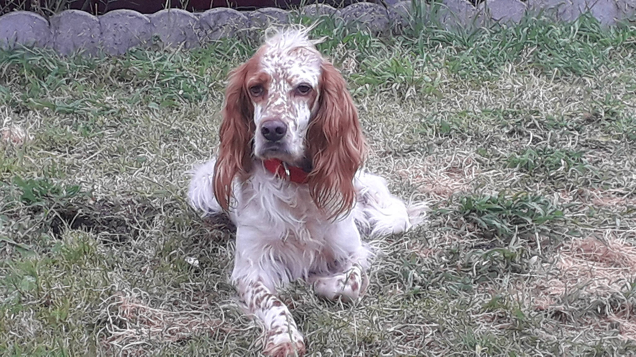 Mabelle