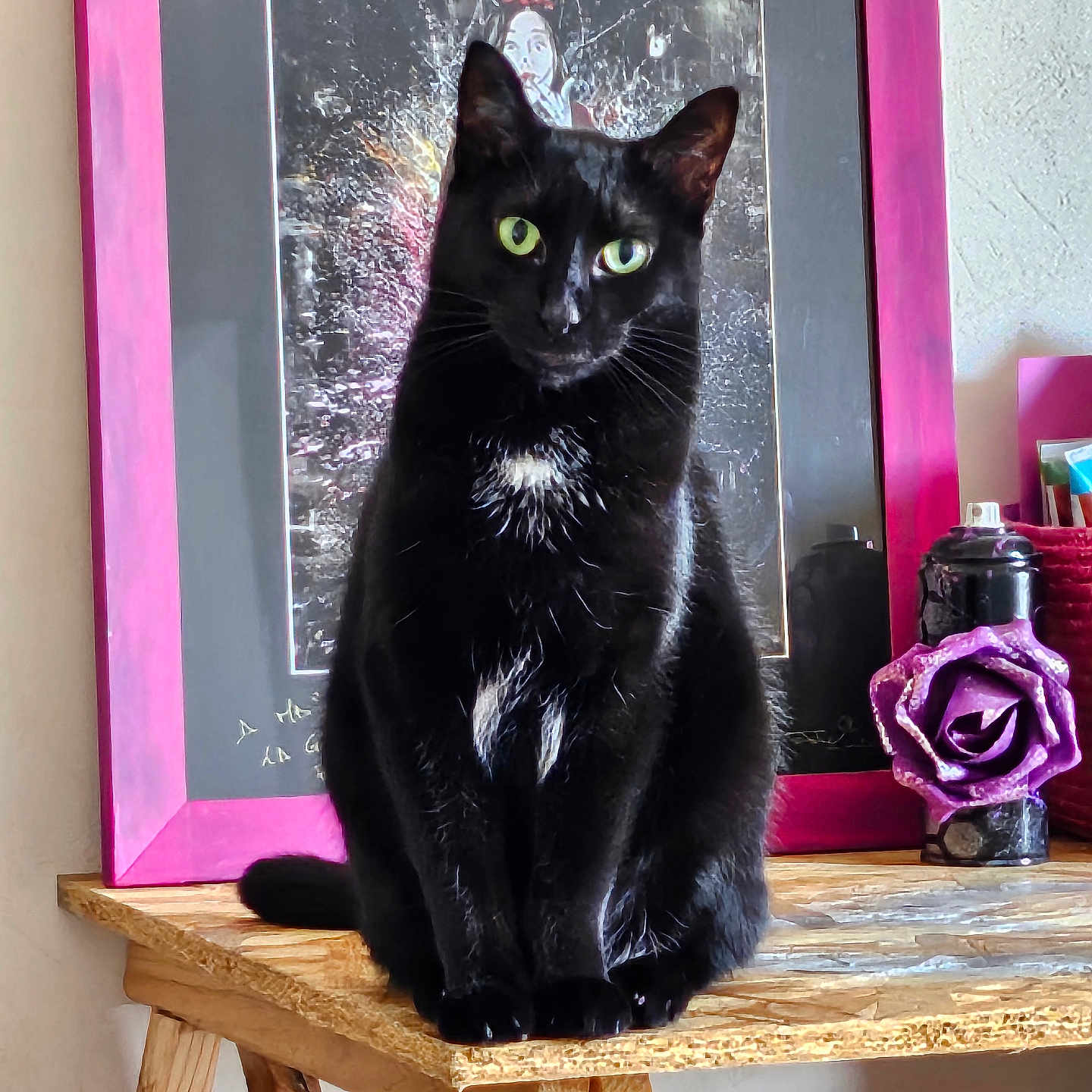 Baguera a rejoint le concours — aidez-le/la à gagner de superbes lots ! animal, artistic, artwork, black_cat, closeup, cozy, decor, feline, furniture, green_eyes, indoor, pet, pink_frame, portrait, purple_rose, sitting_cat, still_life, tabletop, wood_texture, wooden_table