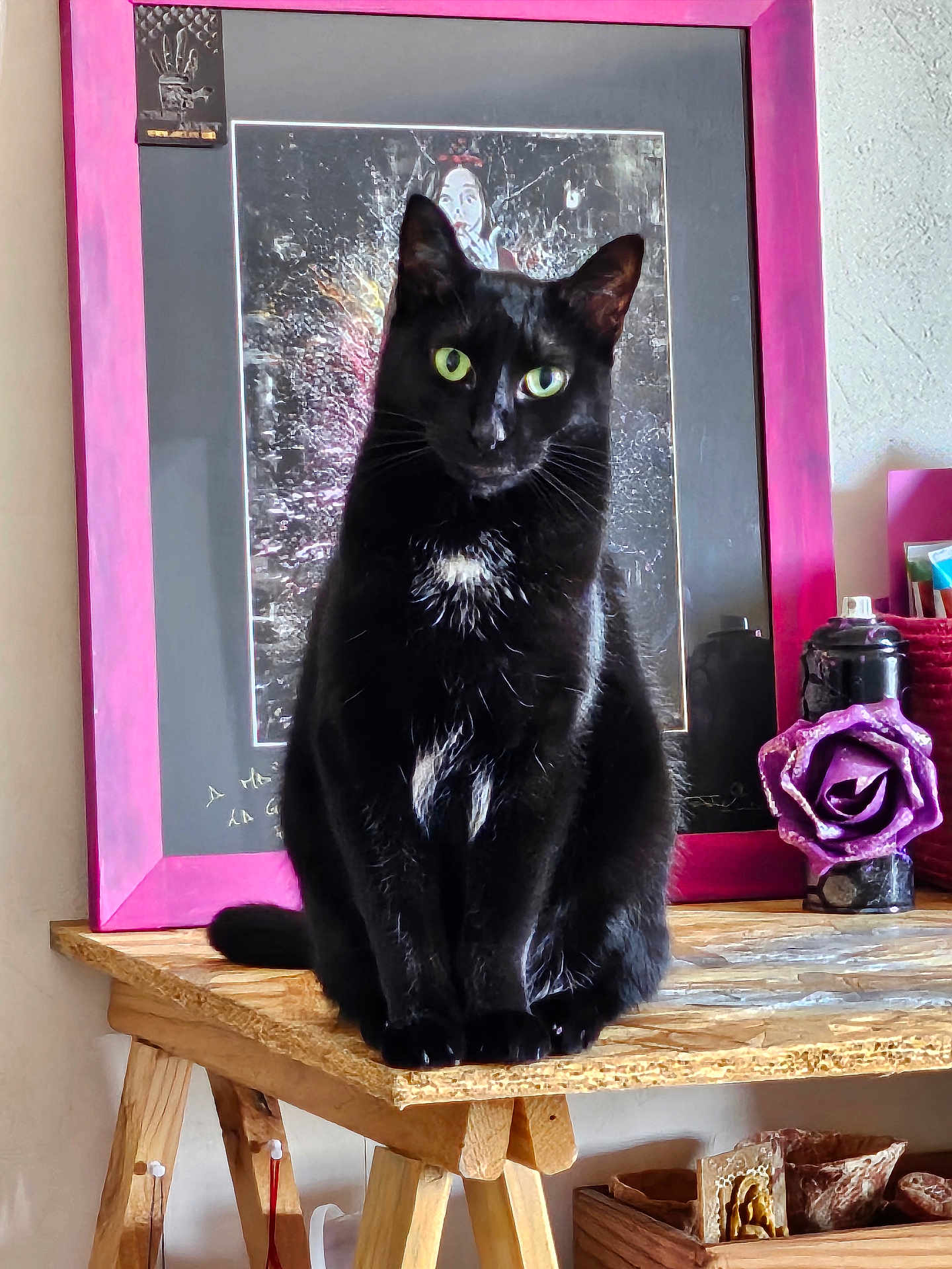 Baguera a rejoint le concours — aidez-le/la à gagner de superbes lots ! black_cat, green_eyes, wooden_table, pink_frame, artwork, purple_rose, decor, indoor, furniture, sitting_cat, portrait, animal, pet, cozy, artistic, closeup, feline, tabletop, wood_texture, still_life