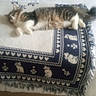 cat, tabby_cat, white_paws, fur, sleeping, lying_down, relaxed, pet, animal, bed, blanket, patterned_blanket, bedroom, indoor, home, textile, wood_floor, portrait_orientation, date_stamp, nap