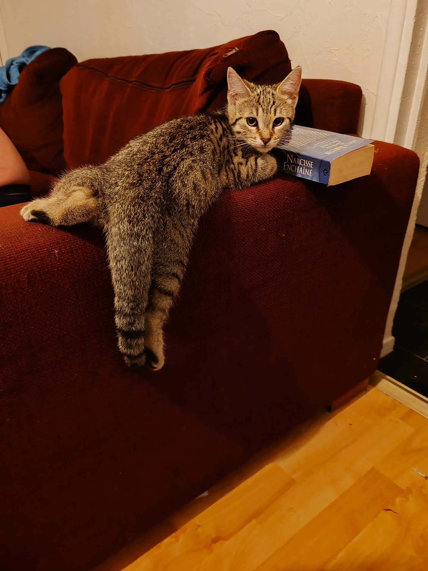 Ajax Et Louna