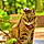 Tabitha