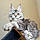 Euphoria