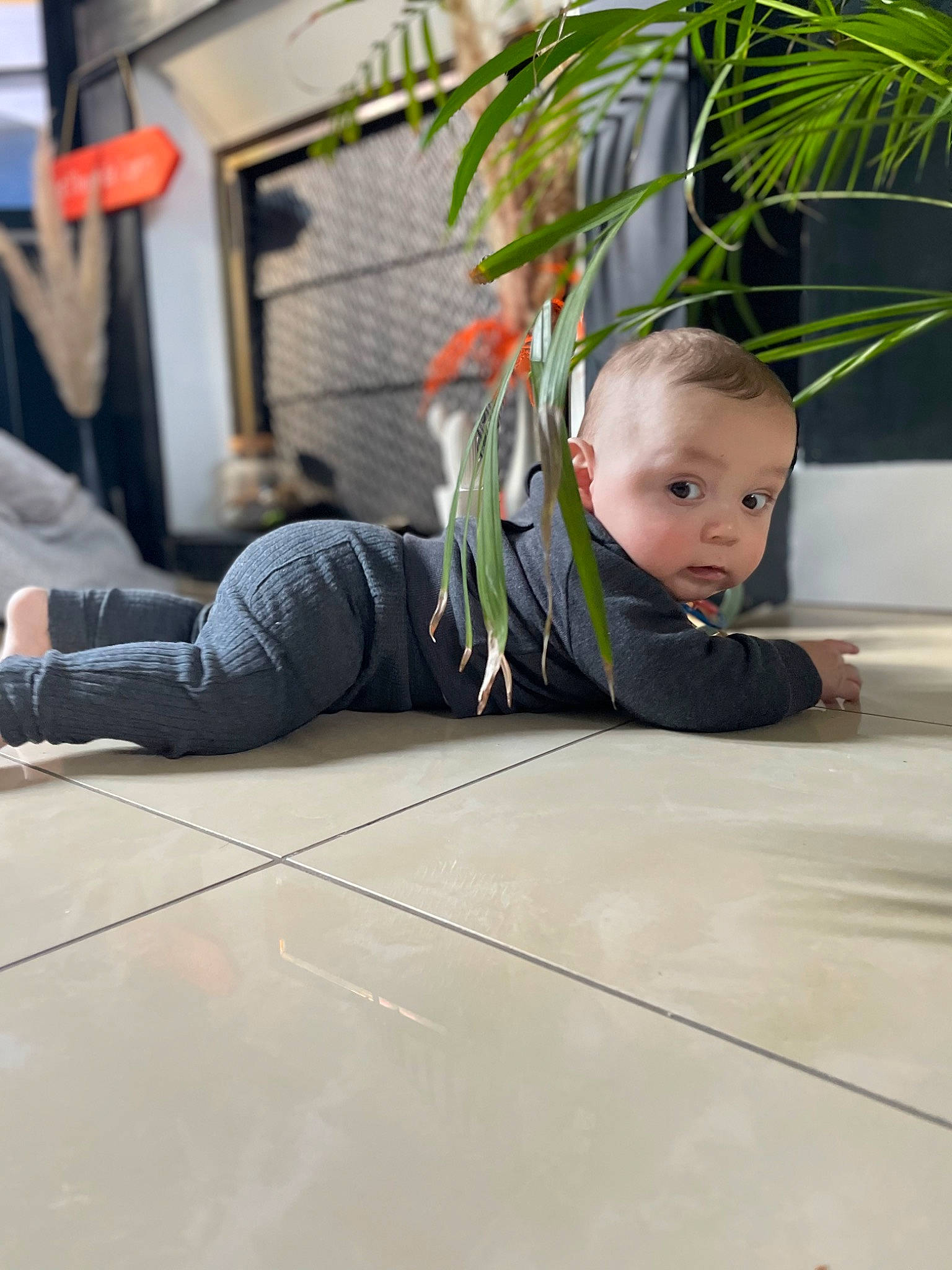 Ayden participe au concours pour gagner de l'argent avec cette photo : asphalt, baby, child, crawling, floor, flooring, fun, grass, hardwood, human_leg, knee, leisure, person, plant, road_surface, room, sidewalk, sitting, toddler, wood