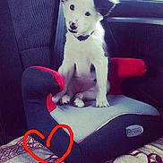 Wall-e a rejoint le concours — aidez-le/la à gagner de superbes lots !