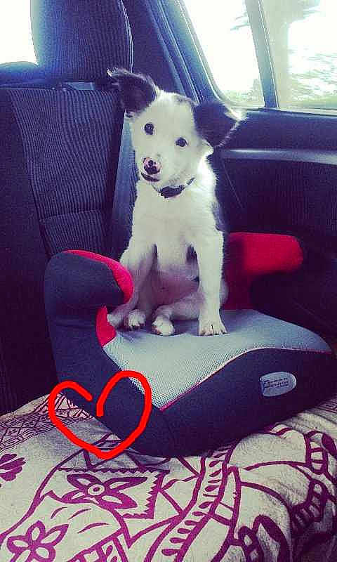 Wall-e a rejoint le concours — aidez-le/la à gagner de superbes lots !