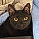 Salem