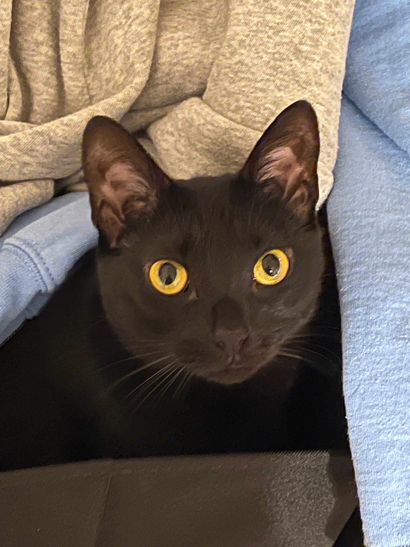 Salem