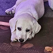 Liberty is registered to the contest to win money with this photo: