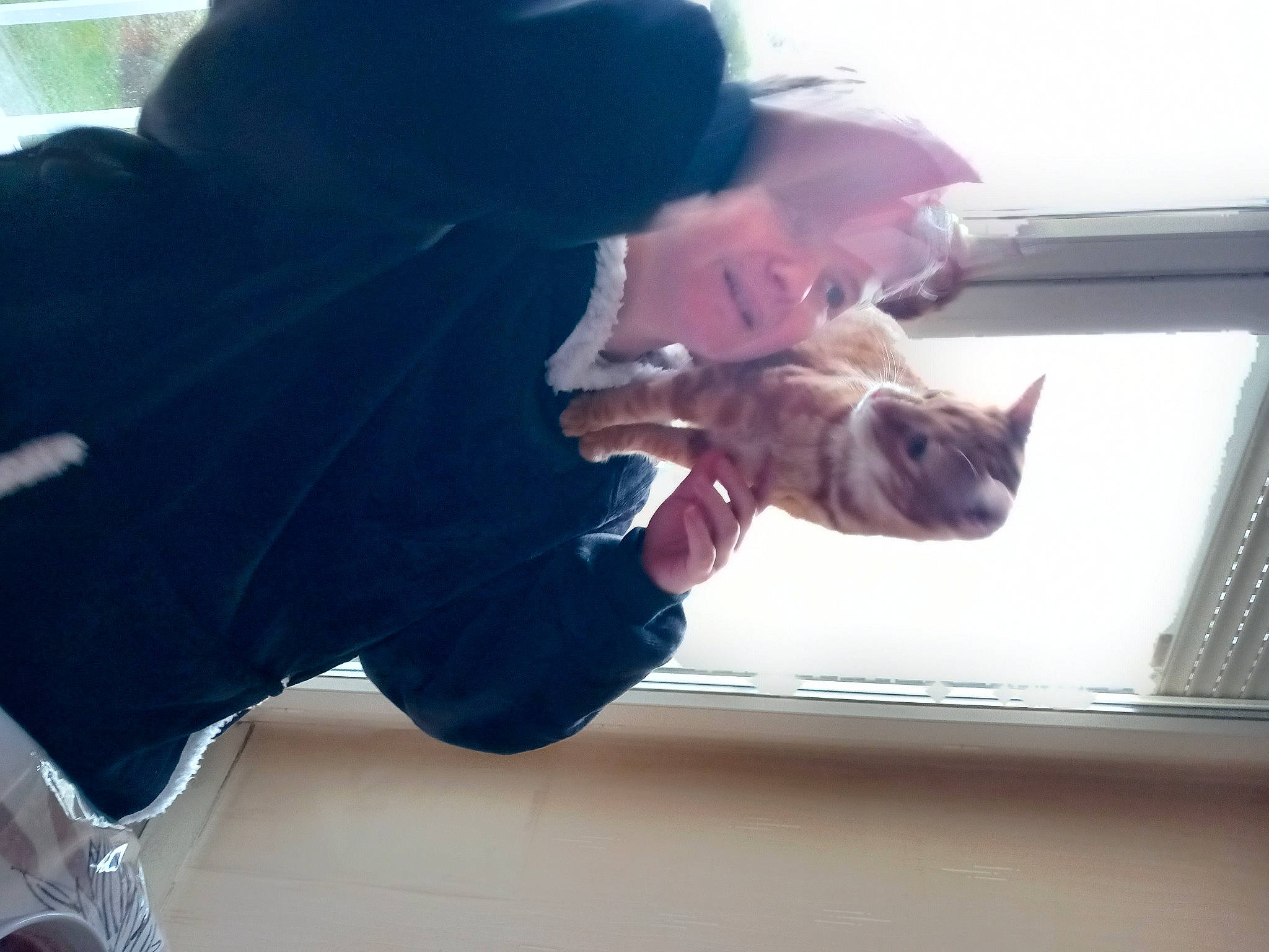 Rouky participe au concours pour gagner de l'argent avec cette photo : beard, carnivore, cat, comfort, domestic_short_haired_cat, ear, felidae, fun, fur, gesture, laptop, sitting, small_to_medium_sized_cats, tail, whiskers, window