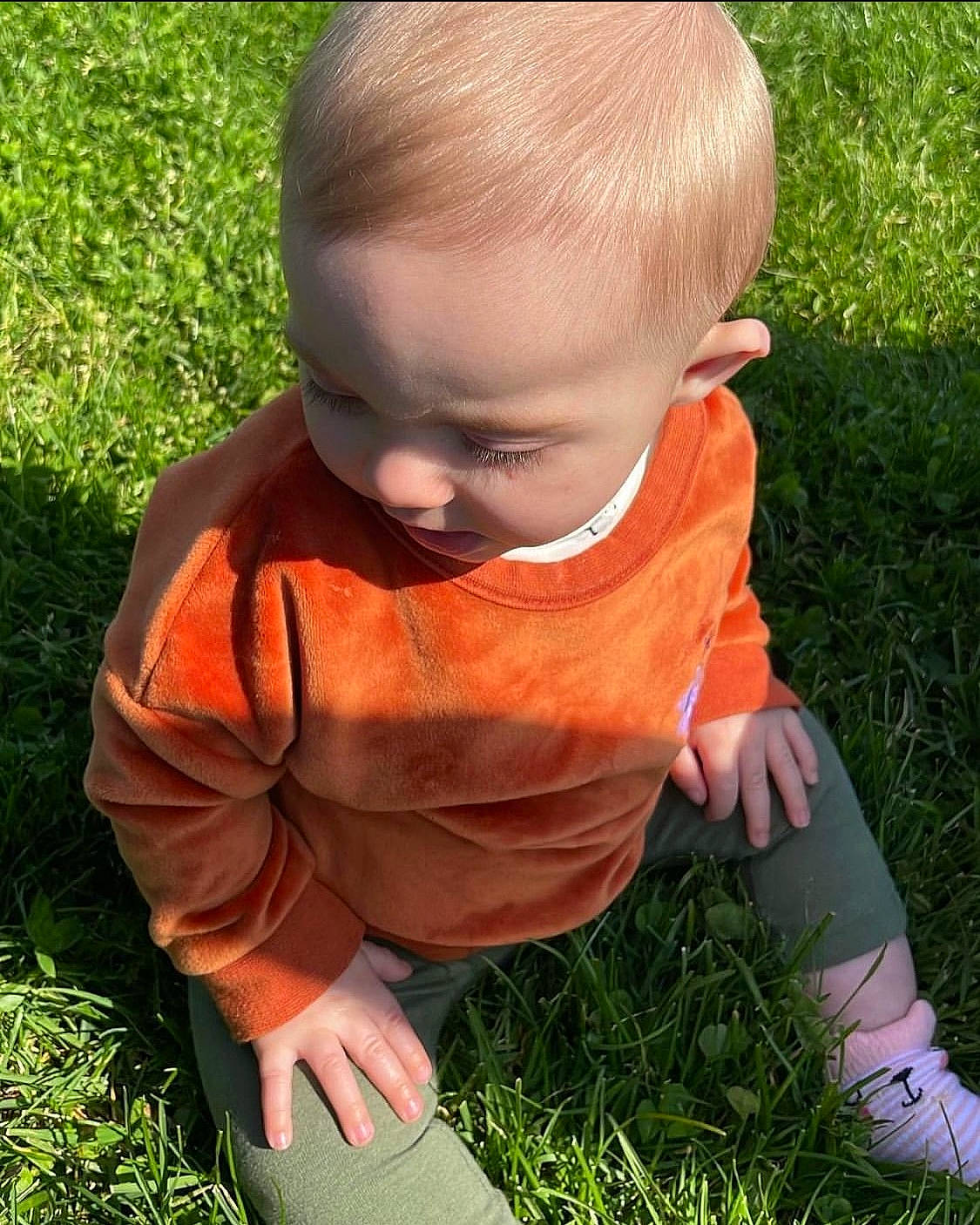 Beyla is registered to the contest to win money with this photo: baby, baby_toddler_clothing, cheek, child, grass, grass_family, grassland, happy, head, lawn, leaf, nose, people_in_nature, person, plant, sitting, sleeve, t_shirt, toddler, tree
