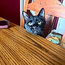 black_cat, cat, pet, wooden_table, chair, indoor, yellow_eyes, curious, phone, wood_texture, furniture, domestic_animal, animal_face, whiskers, ears, table_surface, door, blanket, home, room