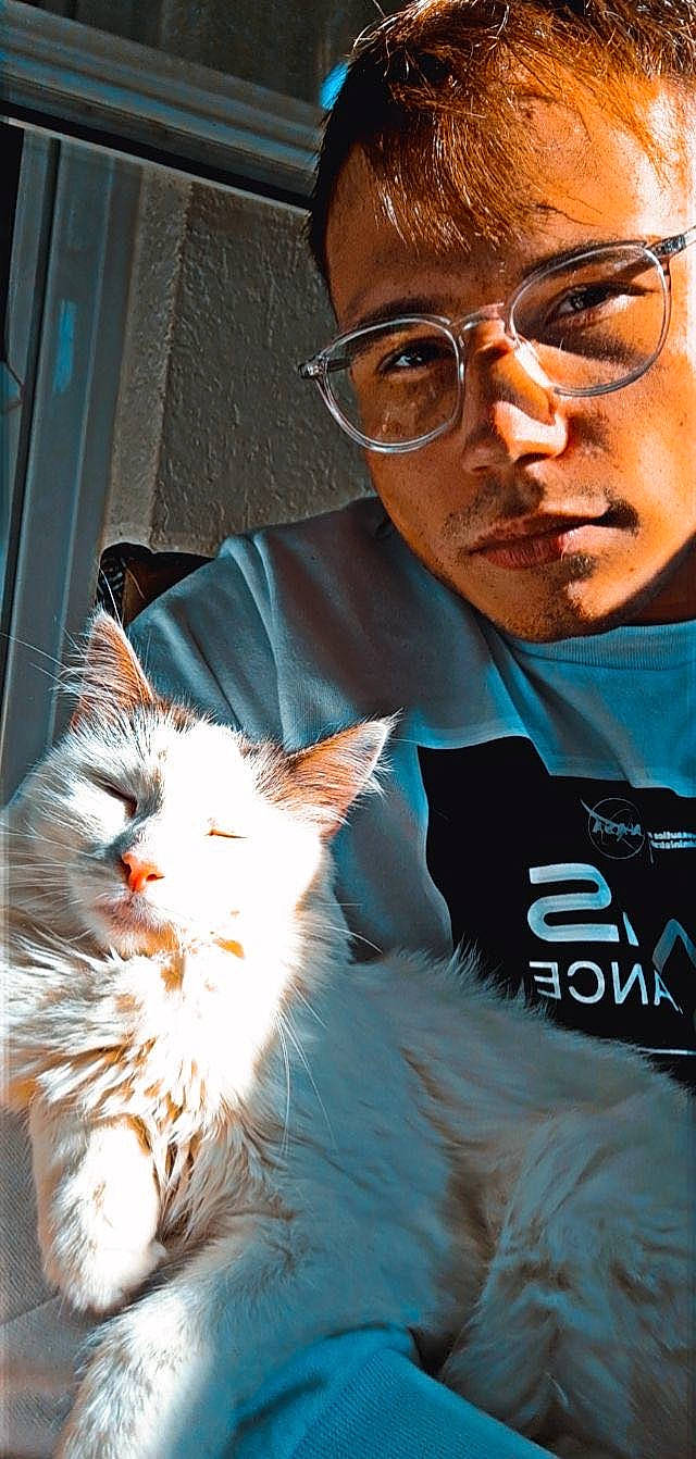 Princesse a rejoint le concours — aidez-le/la à gagner de superbes lots ! carnivore, cat, eye, eyewear, felidae, formal_wear, fur, glasses, hairstyle, happy, head, organ, photograph, small_to_medium_sized_cats, snapshot, t_shirt, tail, tie, vision_care, whiskers