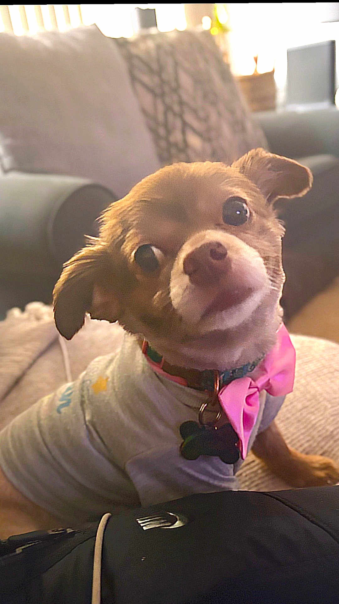 Nala