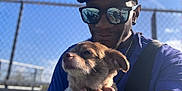 Nala joined the competition — help win amazing prizes! man, dog, sunglasses, cap, chain_link_fence, blue_sky, outdoor, sunlight, pet, blanket, hand, portrait, casual, smile, leash, clothing, accessory, daylight, close_up, friendship