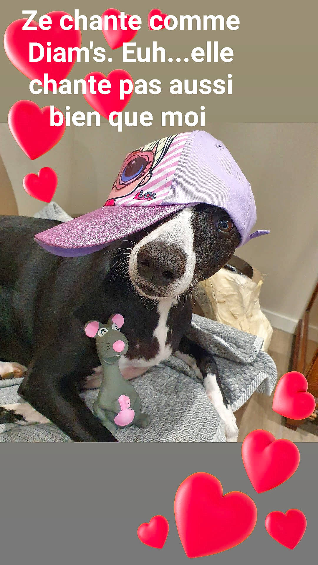 Princesse Micky a rejoint le concours — aidez-le/la à gagner de superbes lots ! carnivore, collar, companion_dog, design, event, eyewear, font, fur, hat, magenta, organism, pattern, petal, photo_caption, pink, red, stuffed_toy, textile, toy, working_animal