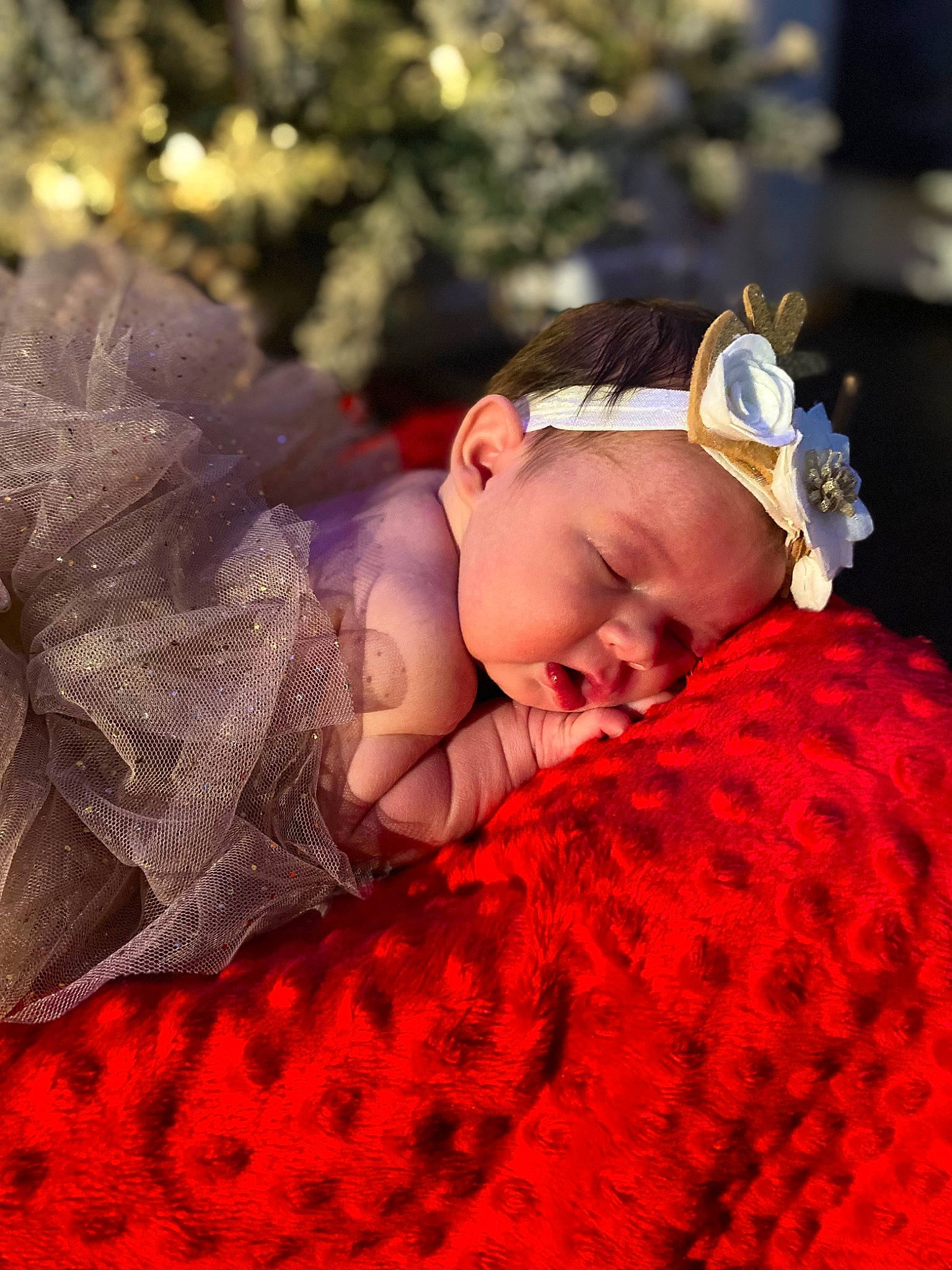 Aspen joined the competition — help win amazing prizes! baby, baby_toddler_clothing, child, comfort, conifer, event, fir, flash_photography, fun, grass, happy, headband, headpiece, holiday, linens, pattern, people_in_nature, person, portrait_photography, sitting